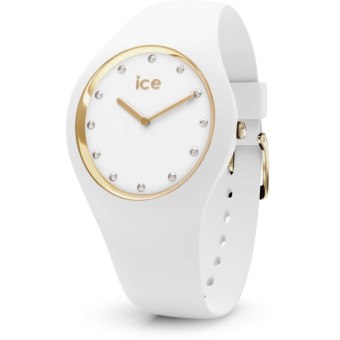ice ic.016296
