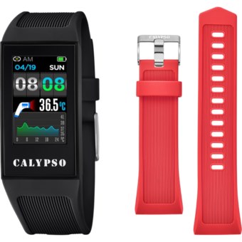 calypso SMARTIME k8501/4