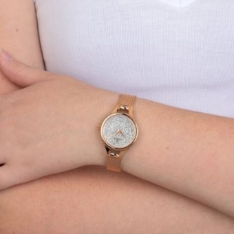 Orologio Festina F20333/1
