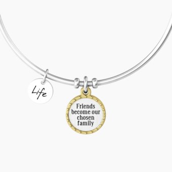 FRIENDSHIP 732082