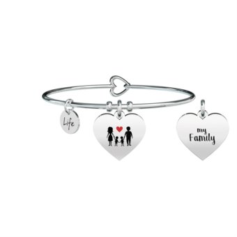 FAMILY 731629