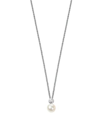 PERLA sanh02