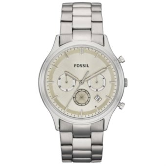 fossil ANSEL fs4669
