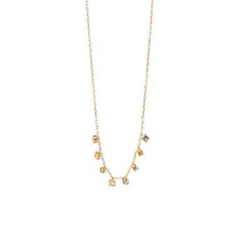 Pdpaola CO01-839-U Donna
