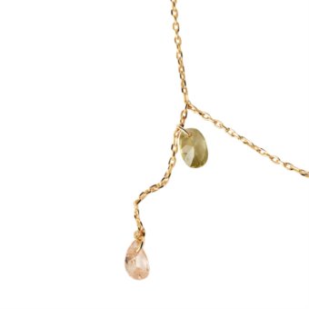 Pdpaola CO01-863-U