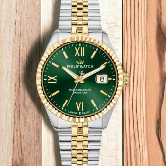 Philip watch R8253597111