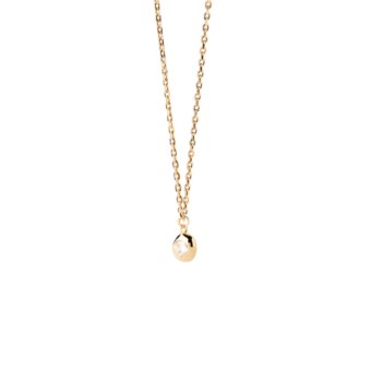 Pdpaola CO01-869-U