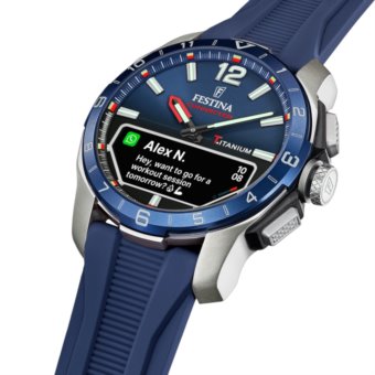 Festina F23000/1
