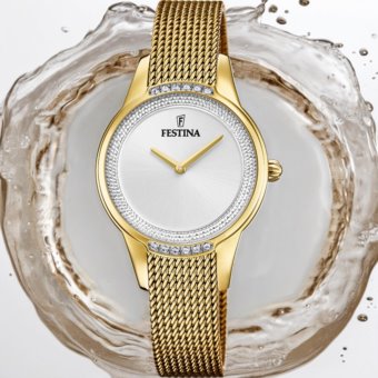 Festina F20495/1