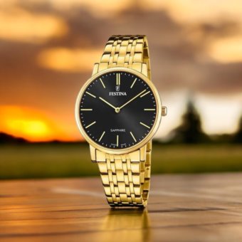 Festina F20046/5