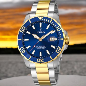 Festina F20532/1