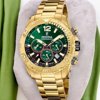 Festina F20684/3