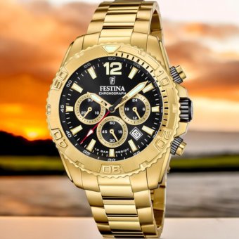 Festina F20684/4