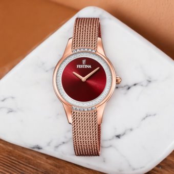 Festina F20496/1