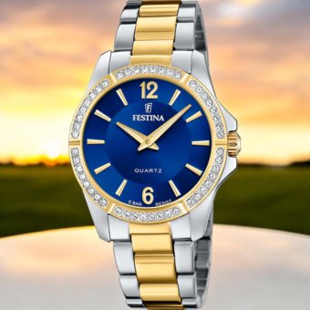 Festina F20594/2