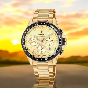 Festina F20634/6