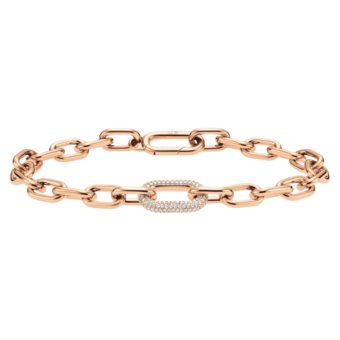 daniel wellington gioielli CRYSTAL LINK dw00400575