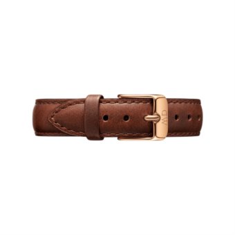 Daniel wellington 7350068245343