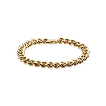 daniel wellington gioielli CHUNKY CHAIN dw00400848
