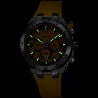 Festina F20671/4