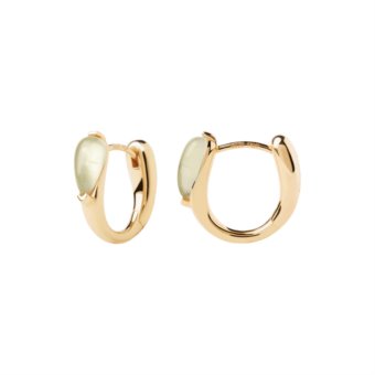 pdpaola NEW ESSENTIALS ar01-e48-u