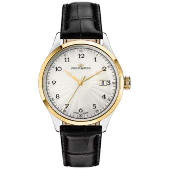 philip watch MUSEUM r8253225003
