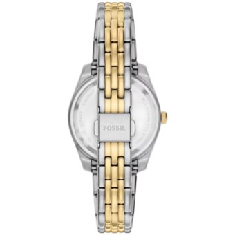 Fossil 4064092366310