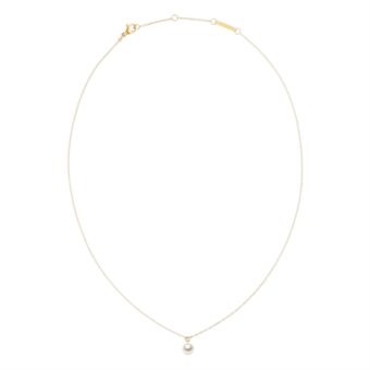 Collana Daniel wellington gioielli DW00401958