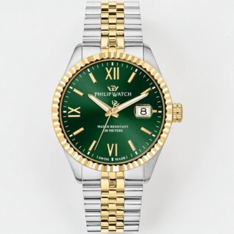 Philip watch R8253597111