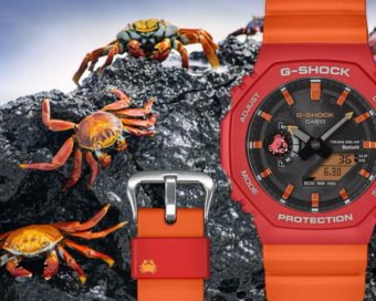 Orologio Casio g shock GA-B2100DF-4AER