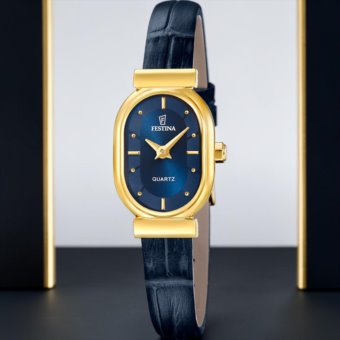 Festina F20801/4