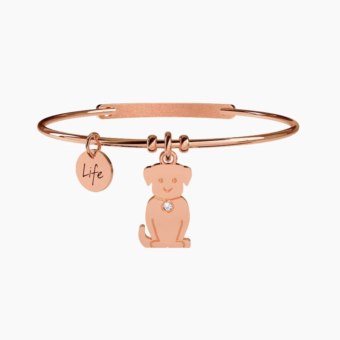 kidult ANIMAL PLANET 731028