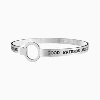 FRIENDSHIP 731258
