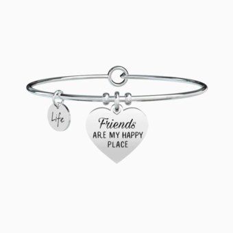 FRIENDSHIP 731363