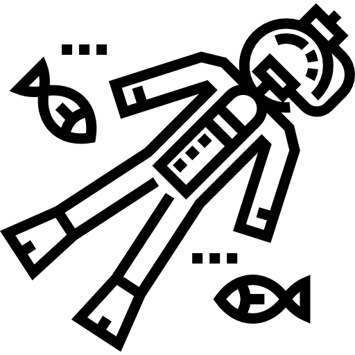 Immersioni